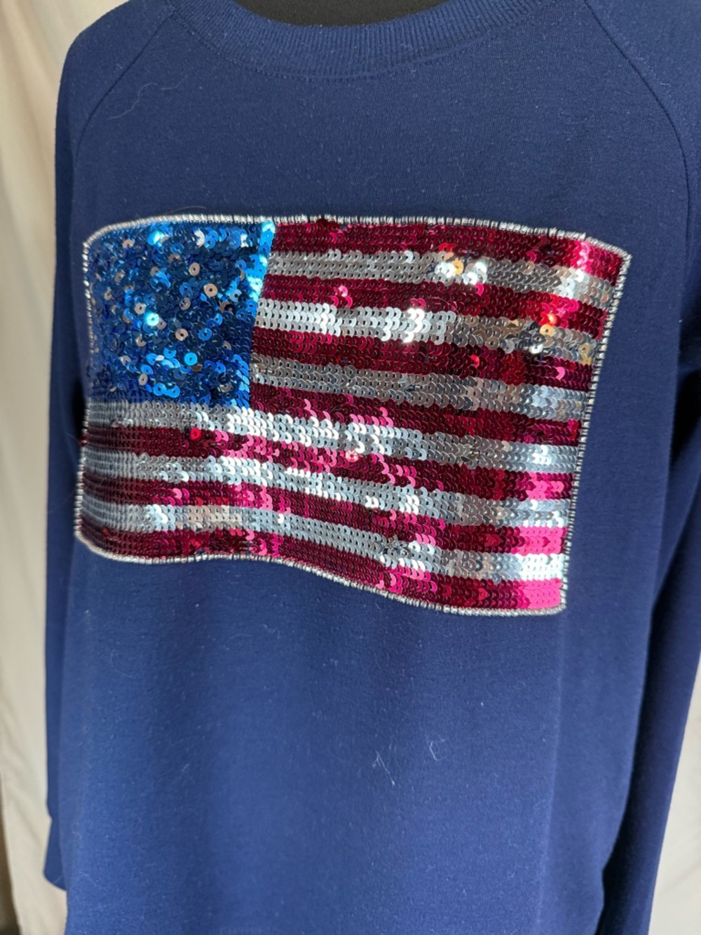 Anthropologie Philosophy Republic Clothing Patriotic Crewneck 🇺🇸✨ - Picture 2 of 6